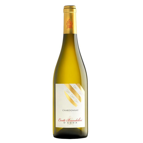 chardonnay conte brandolini